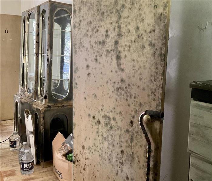 Mold on door in residential home